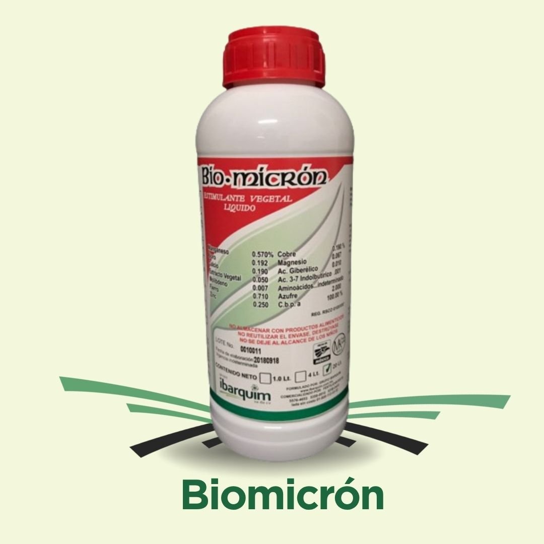 Biomicrón