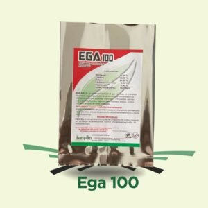 EGA 100