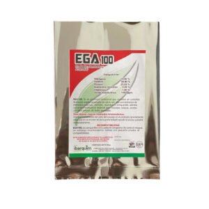 EGA 100