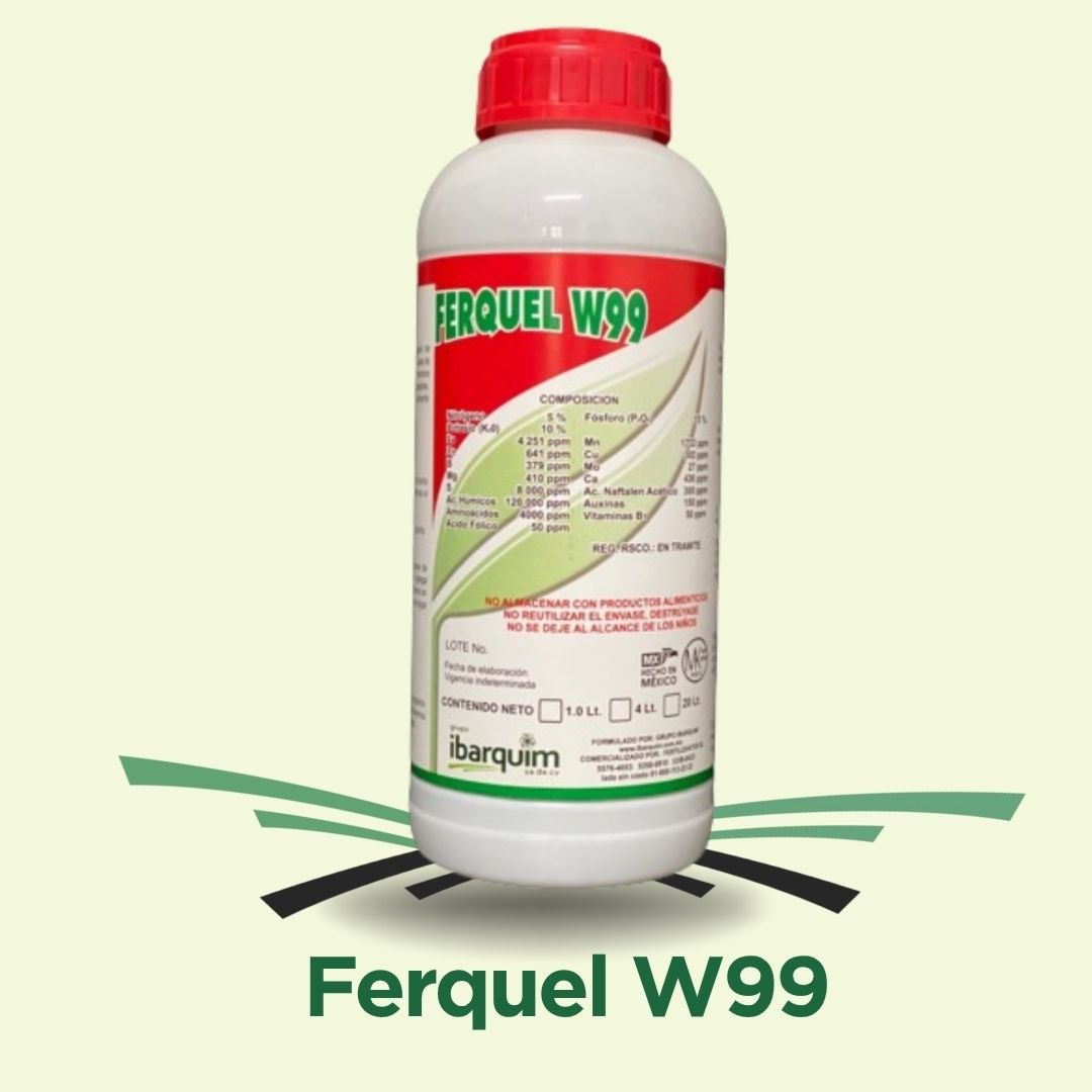 Ferquel W99