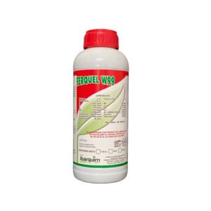 Ferquel W99