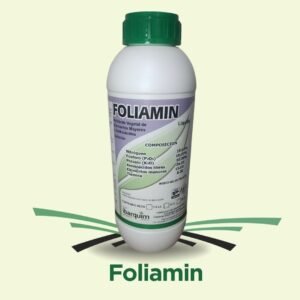 FoliAmin