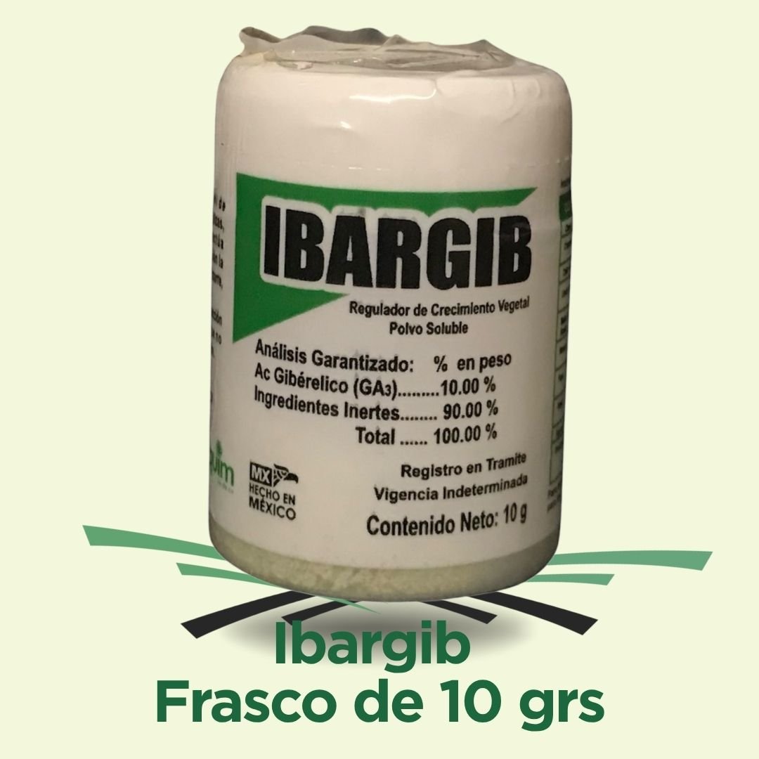Ibargib