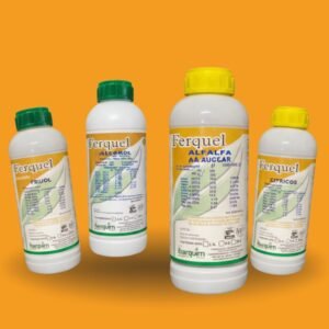 FERQUEL