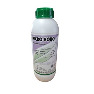 Micro Boro