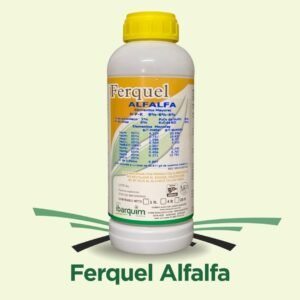 Ferquel Alfalfa
