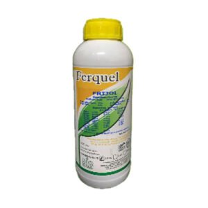 Ferquel Frijol