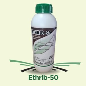 Ethrib