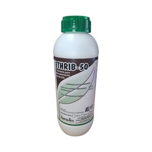 Ethrib